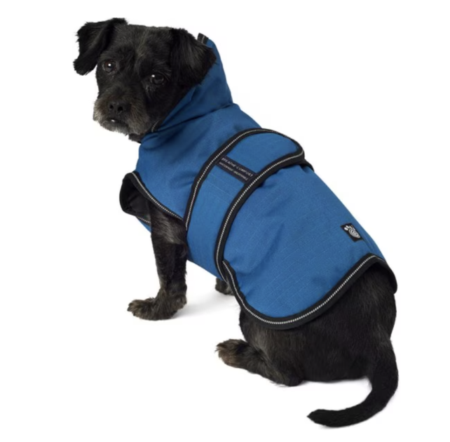 warm winter dog coats